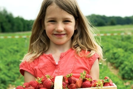 Try These Tasty Canadian-Grown Fruits This Summer
