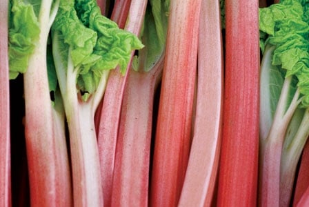 Rhubarb
